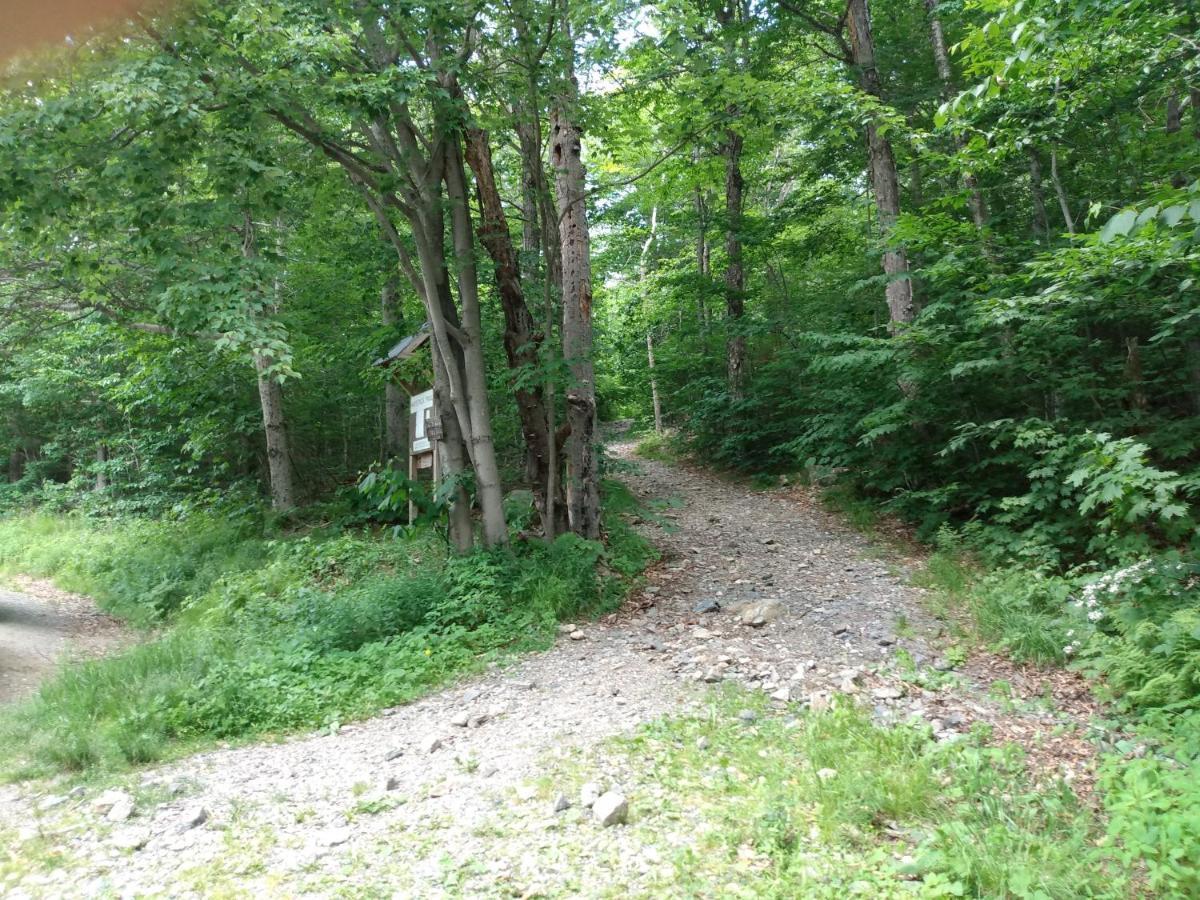 הוילה ווילמיגנטון Mountain Retreat מראה חיצוני תמונה